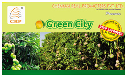 Green City